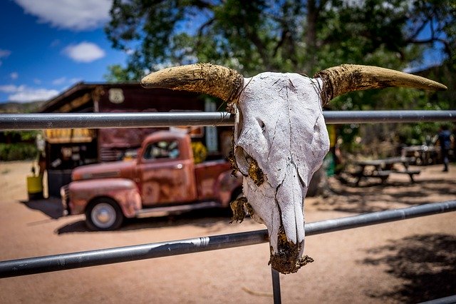 Free download road 66 rusty car bovine skull free picture to be edited with GIMP free online image editor