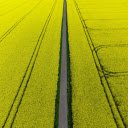 road and yellow flowers  screen for extension Chrome web store in OffiDocs Chromium