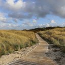 Road through the fields  screen for extension Chrome web store in OffiDocs Chromium