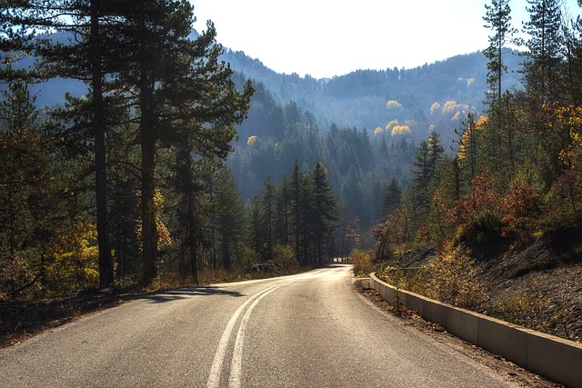 Gratis download road trip bomen Griekenland vallen gratis foto om te bewerken met GIMP gratis online afbeeldingseditor