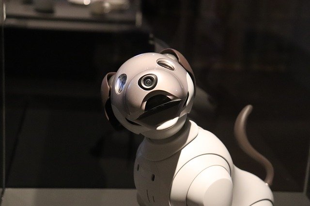 دانلود رایگان قالب عکس رایگان Robot Animal Dog برای ویرایش با ویرایشگر تصویر آنلاین GIMP