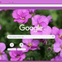 Rock Cress  screen for extension Chrome web store in OffiDocs Chromium