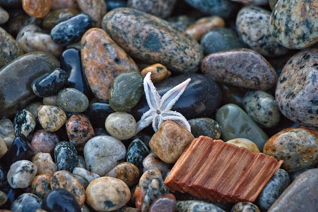 Бесплатно скачать камни галька морская звезда пляж берег бесплатное изображение для редактирования в GIMP бесплатный онлайн-редактор изображений