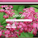 Rodgersia  screen for extension Chrome web store in OffiDocs Chromium