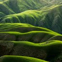 Rolling Green Hills  screen for extension Chrome web store in OffiDocs Chromium