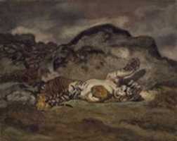 Free download Rolling Tiger (Tigre se roulant) free photo or picture to be edited with GIMP online image editor