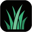 ຫນ້າຈໍ Romans Black Grass ສໍາລັບສ່ວນຂະຫຍາຍ Chrome web store ໃນ OffiDocs Chromium