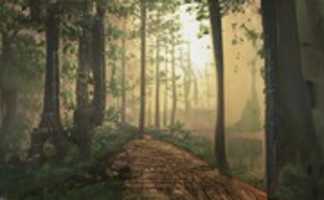 Free download Romantic Forest free photo or picture to be edited with GIMP online image editor