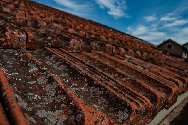 Free download roof tiles roof housetop brick free picture to be edited with GIMP free online image editor
