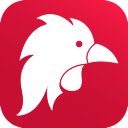Rooster Video Tools for LingQ  screen for extension Chrome web store in OffiDocs Chromium