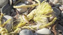 Free download Rope Yellow Peddles -  free video to be edited with OpenShot online video editor