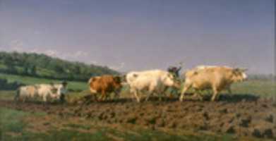 Free download Rosa Bonheur, Ploughing In Nevers free photo or picture to be edited with GIMP online image editor