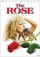 הורדה חינם Rose - Bette Midle תמונה או תמונה בחינם לעריכה עם עורך התמונות המקוון GIMP