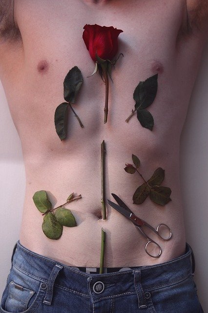 Безкоштовно завантажте безкоштовне зображення чоловіка з тілом троянди голими ножицями для редагування за допомогою безкоштовного онлайн-редактора зображень GIMP