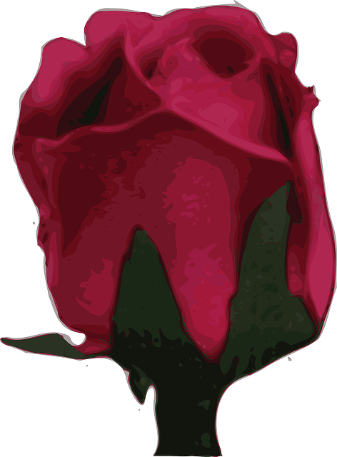 Free download Rose Flower Red - Free vector graphic on Pixabay free illustration to be edited with GIMP free online image editor
