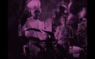 Free download Rose Hobart free photo or picture to be edited with GIMP online image editor