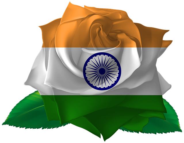 Gratis download Rose India Iran gratis illustratie om te bewerken met GIMP online afbeeldingseditor