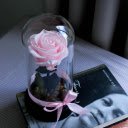 Rose in the box  screen for extension Chrome web store in OffiDocs Chromium