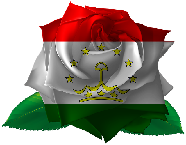 הורדה חינם של Rose Iran Tajikistan איור חינם לעריכה עם עורך התמונות המקוון GIMP