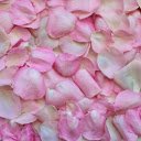 Rose leaf  screen for extension Chrome web store in OffiDocs Chromium