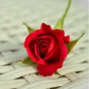 Rose next to the bamboo canopy  screen for extension Chrome web store in OffiDocs Chromium