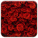 صفحه نمایش Rosy Red Roses برای افزونه فروشگاه وب Chrome در OffiDocs Chromium