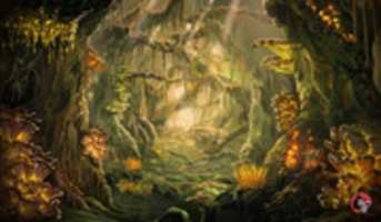 Free download rotten_woods_by_nele_diel_de6kswu-400t(0) free photo or picture to be edited with GIMP online image editor