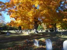 הורדה חינם של Rowley Cemetery תמונה או תמונה בחינם לעריכה עם עורך התמונות המקוון GIMP