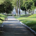 Rows of green park benches  screen for extension Chrome web store in OffiDocs Chromium