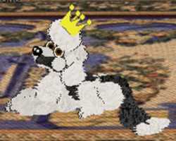 Free download Royal Laying free photo or picture to be edited with GIMP online image editor