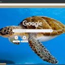Rua  screen for extension Chrome web store in OffiDocs Chromium