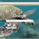 Rua Bien  screen for extension Chrome web store in OffiDocs Chromium
