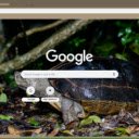 Rua dat  screen for extension Chrome web store in OffiDocs Chromium