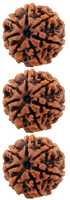 Free download rudraksh-mala free photo or picture to be edited with GIMP online image editor