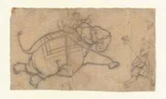 Free download Running Elephant (recto); Practice Sheet of Elephant Sketches (verso) free photo or picture to be edited with GIMP online image editor