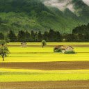 Rural Fields  screen for extension Chrome web store in OffiDocs Chromium