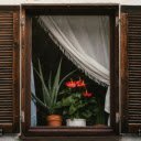 Rustic Window with Vibrant Indoor Plants  screen for extension Chrome web store in OffiDocs Chromium