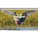 Rusty Heron  screen for extension Chrome web store in OffiDocs Chromium
