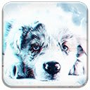 Sad Blue Puppy  screen for extension Chrome web store in OffiDocs Chromium