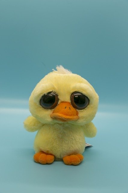 ດາວໂຫລດຟຣີ Sad Eyes Stuffed Animal Duck - ຮູບພາບຫຼືຮູບພາບທີ່ບໍ່ເສຍຄ່າເພື່ອແກ້ໄຂດ້ວຍຕົວແກ້ໄຂຮູບພາບອອນໄລນ໌ GIMP