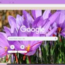 Saffron Crocus  screen for extension Chrome web store in OffiDocs Chromium