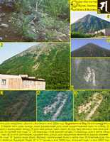 Free download Sa geoglyph free photo or picture to be edited with GIMP online image editor