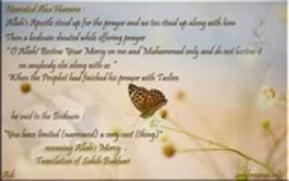 Free download sahih el boukhari free photo or picture to be edited with GIMP online image editor