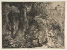 Free download Saint Francis beneath a Tree, Praying free photo or picture to be edited with GIMP online image editor