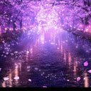 Sakura River at Night  screen for extension Chrome web store in OffiDocs Chromium