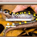 Salamander  screen for extension Chrome web store in OffiDocs Chromium