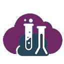 Salesforce Explorer Enhanced Setup  screen for extension Chrome web store in OffiDocs Chromium
