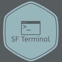 Salesforce Terminal  screen for extension Chrome web store in OffiDocs Chromium