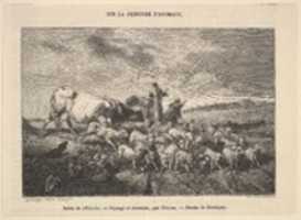 サロン・ド・1850-51を無料でダウンロード。 Paysage et Animaux、par Troyon 無料の写真または画像を GIMP オンライン画像エディターで編集