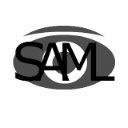 SAMLPeek  screen for extension Chrome web store in OffiDocs Chromium